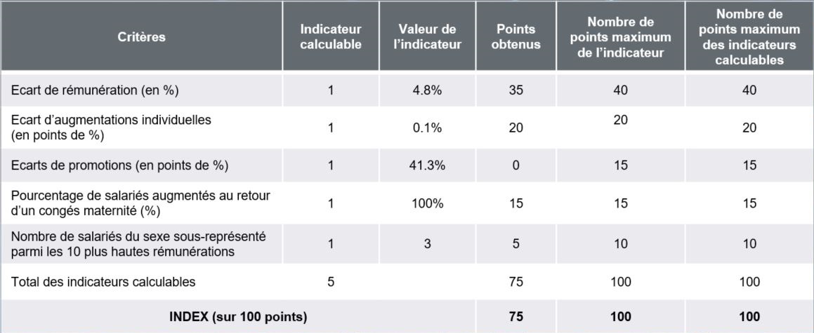 Index rémunération Homme-Femme SOURIAU SAS